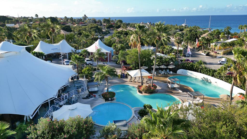 TUI TIME TO SMILE Chogogo Dive & Beach Resort Curacao 4 Sterren Prijs EUR 1084.00