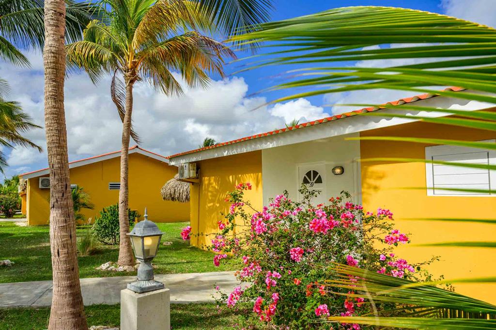 The Pearl of the Caribbean 3 Sterren Prijs EUR 839.00